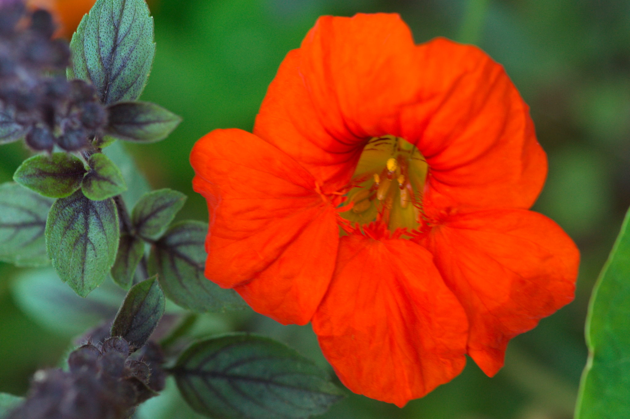 20219022 Gruen(t)raum Heimfeld 9529