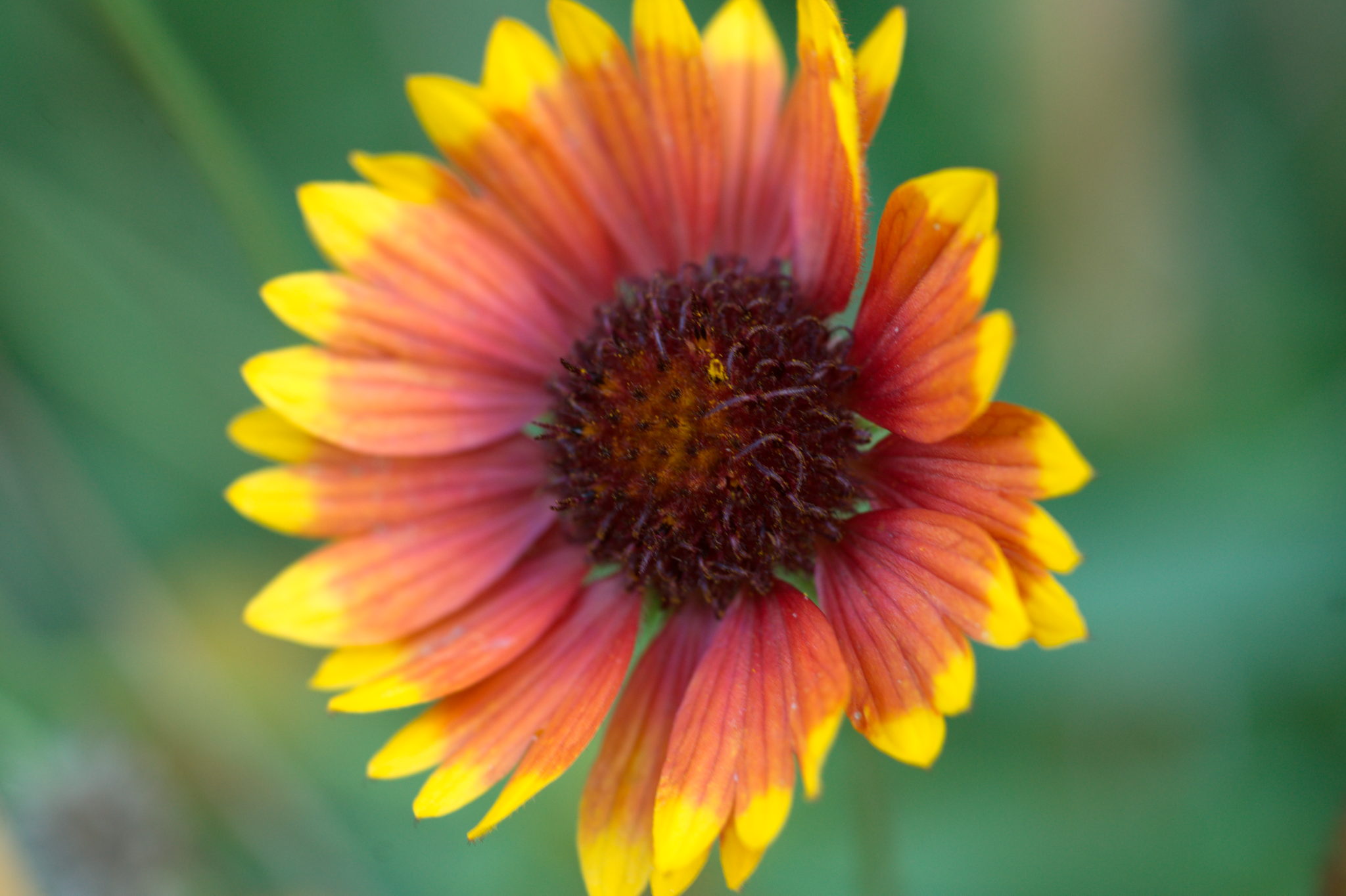 20219022 Gruen(t)raum Heimfeld 9535