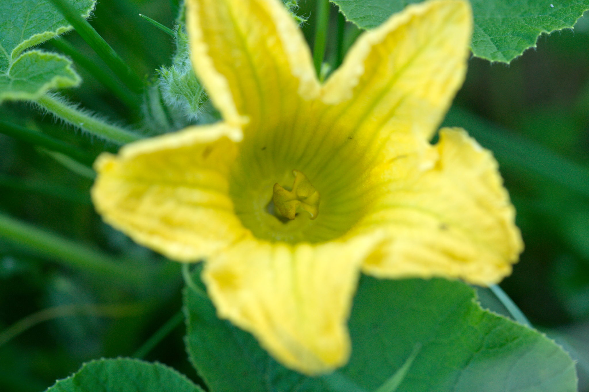 20219022 Gruen(t)raum Heimfeld 9539