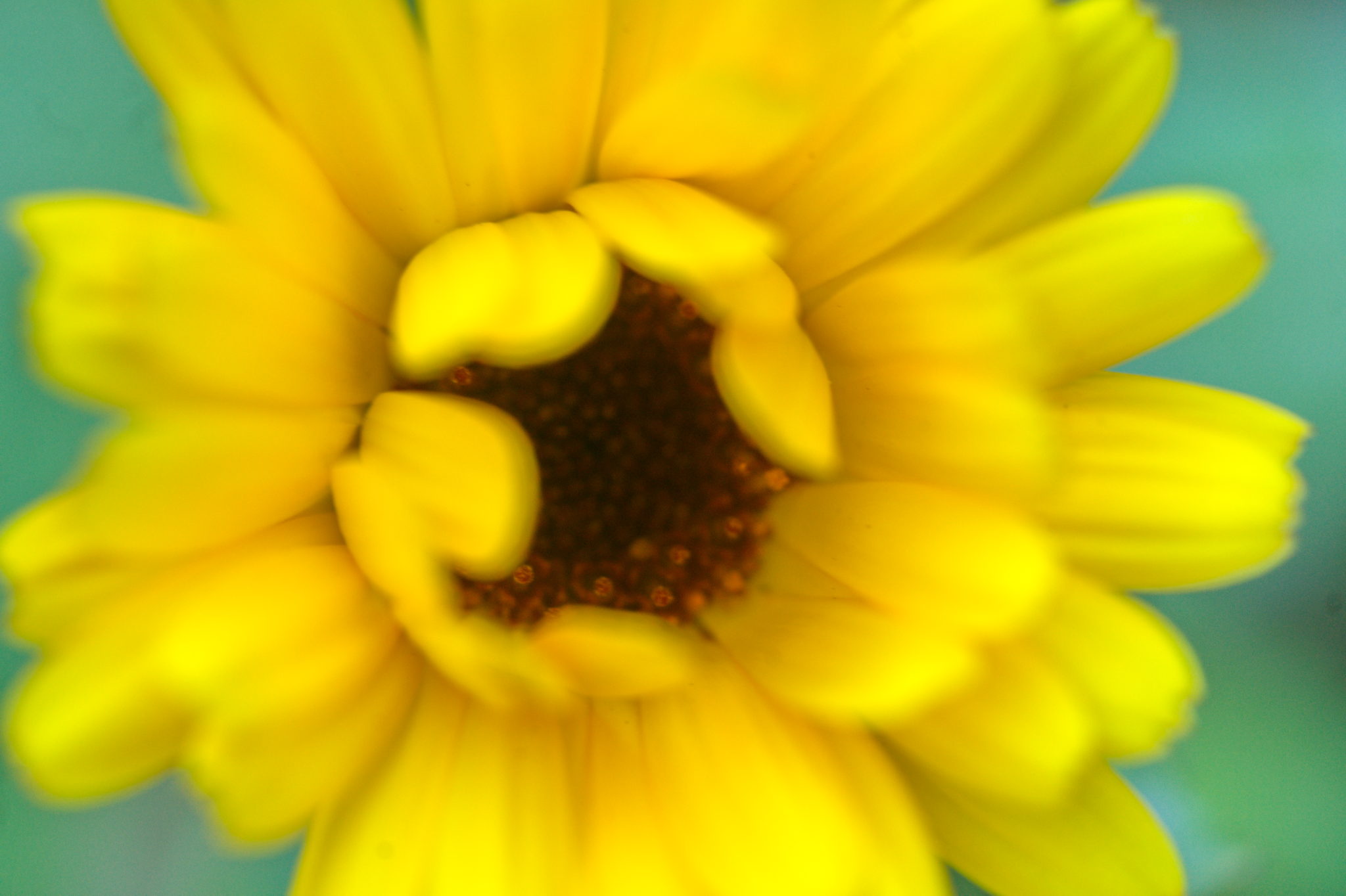 20219022 Gruen(t)raum Heimfeld 9541