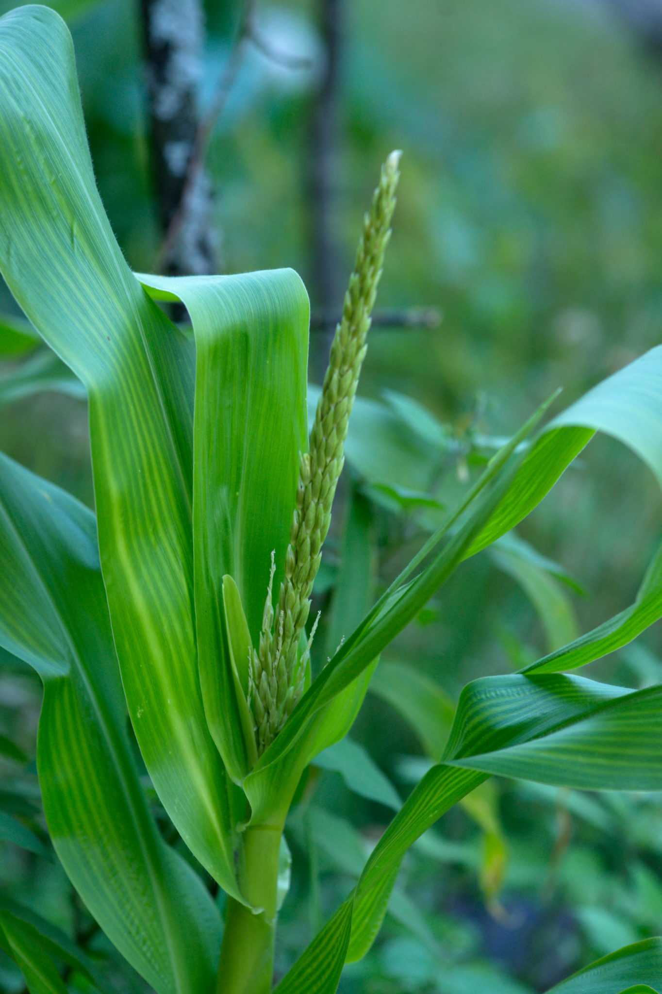 20219022 Gruen(t)raum Heimfeld 9546