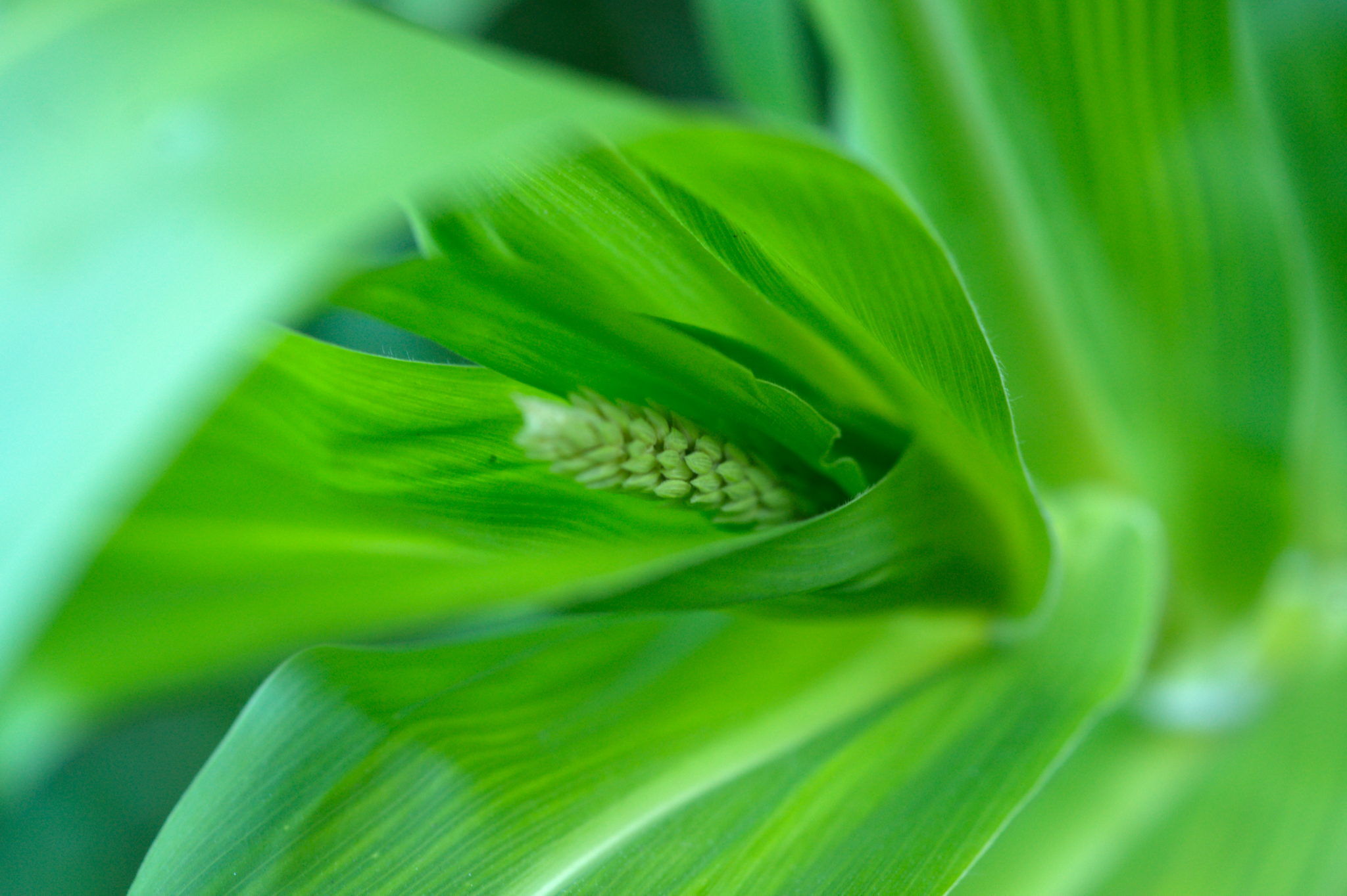 20219022 Gruen(t)raum Heimfeld 9547