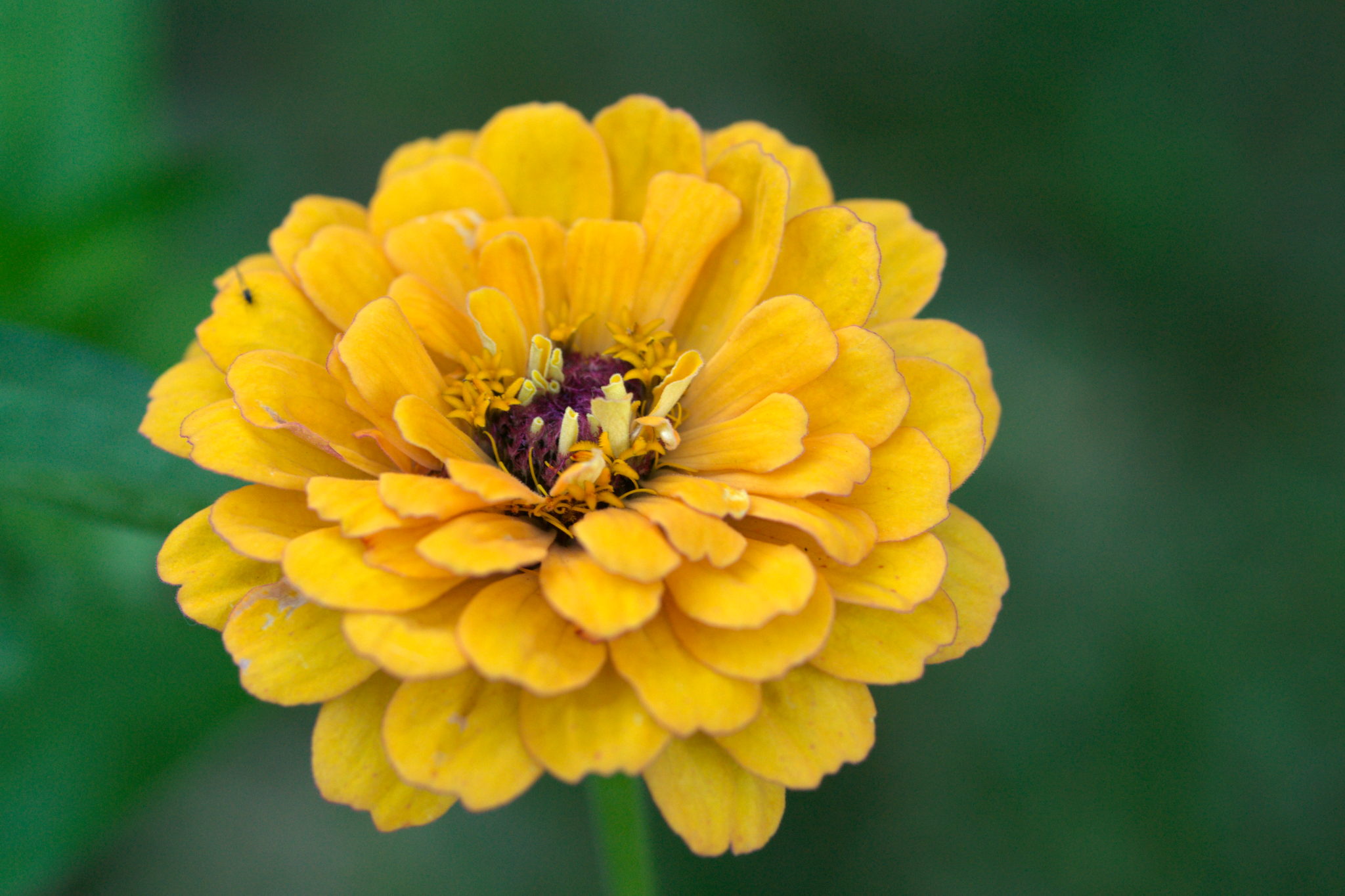 20219022 Gruen(t)raum Heimfeld 9553