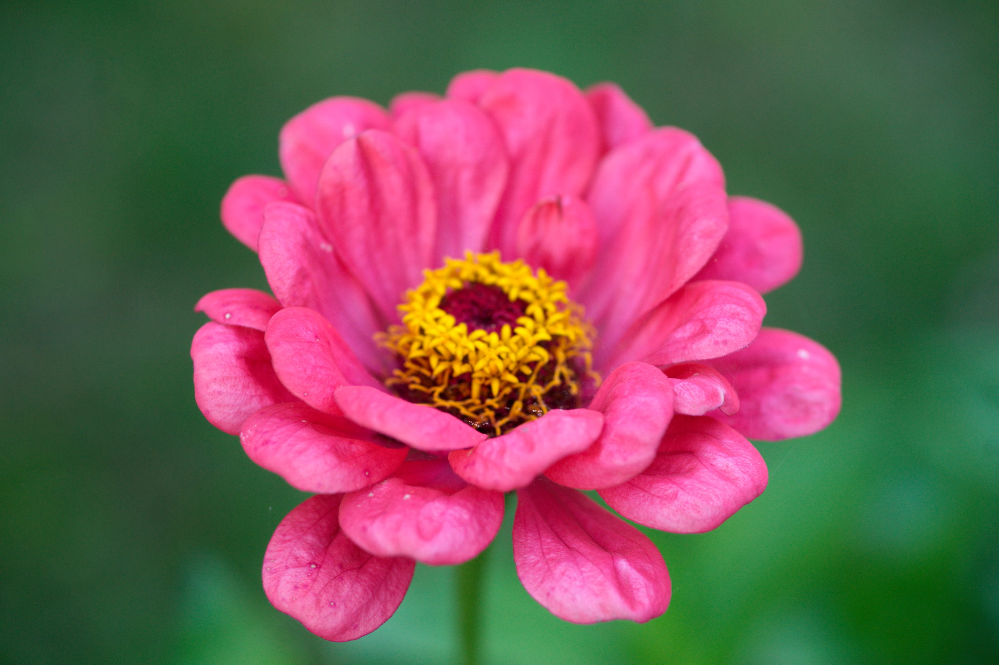 20219022 Gruen(t)raum Heimfeld 9554