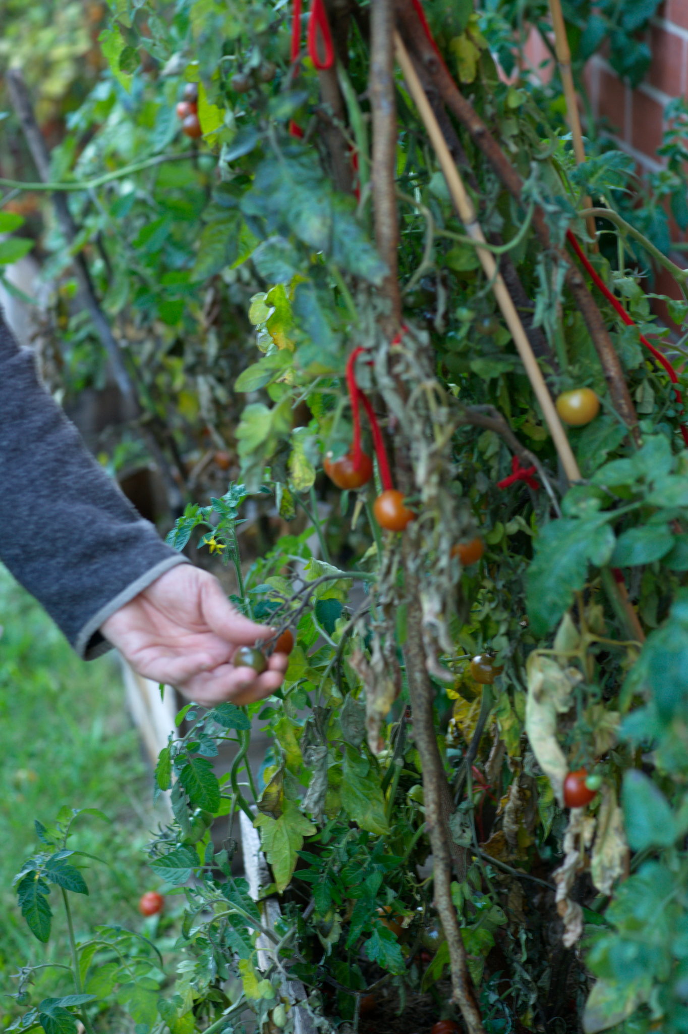 20219022 Gruen(t)raum Heimfeld 9555