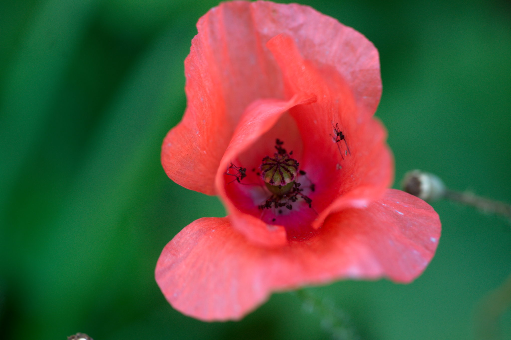 20219022 Gruen(t)raum Heimfeld 9557