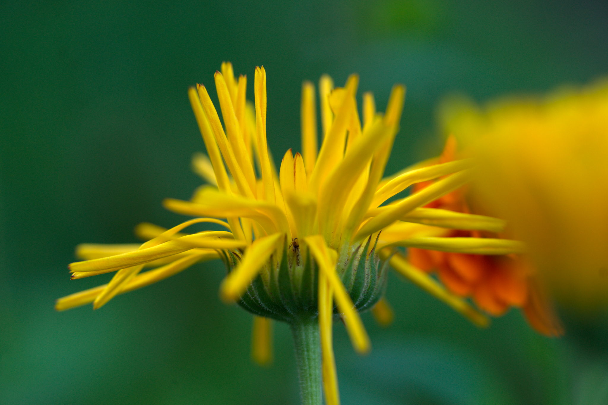 20219022 Gruen(t)raum Heimfeld 9558