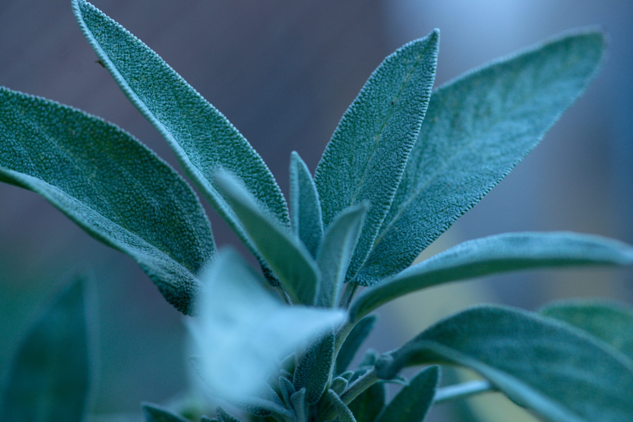 20219022 Gruen(t)raum Heimfeld 9562