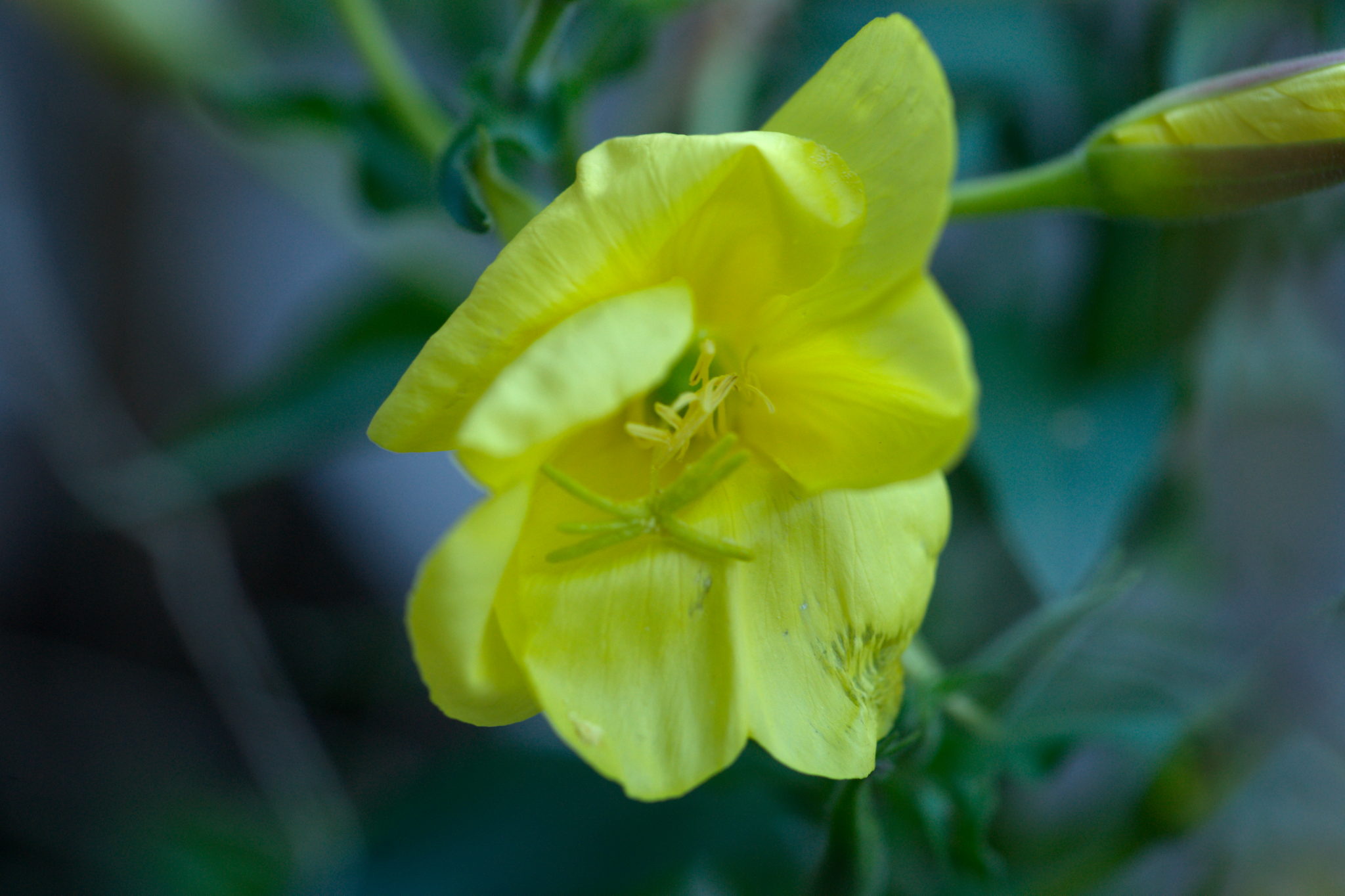 20219022 Gruen(t)raum Heimfeld 9563