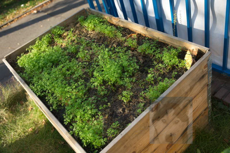 20200916 Gruen t raum 041