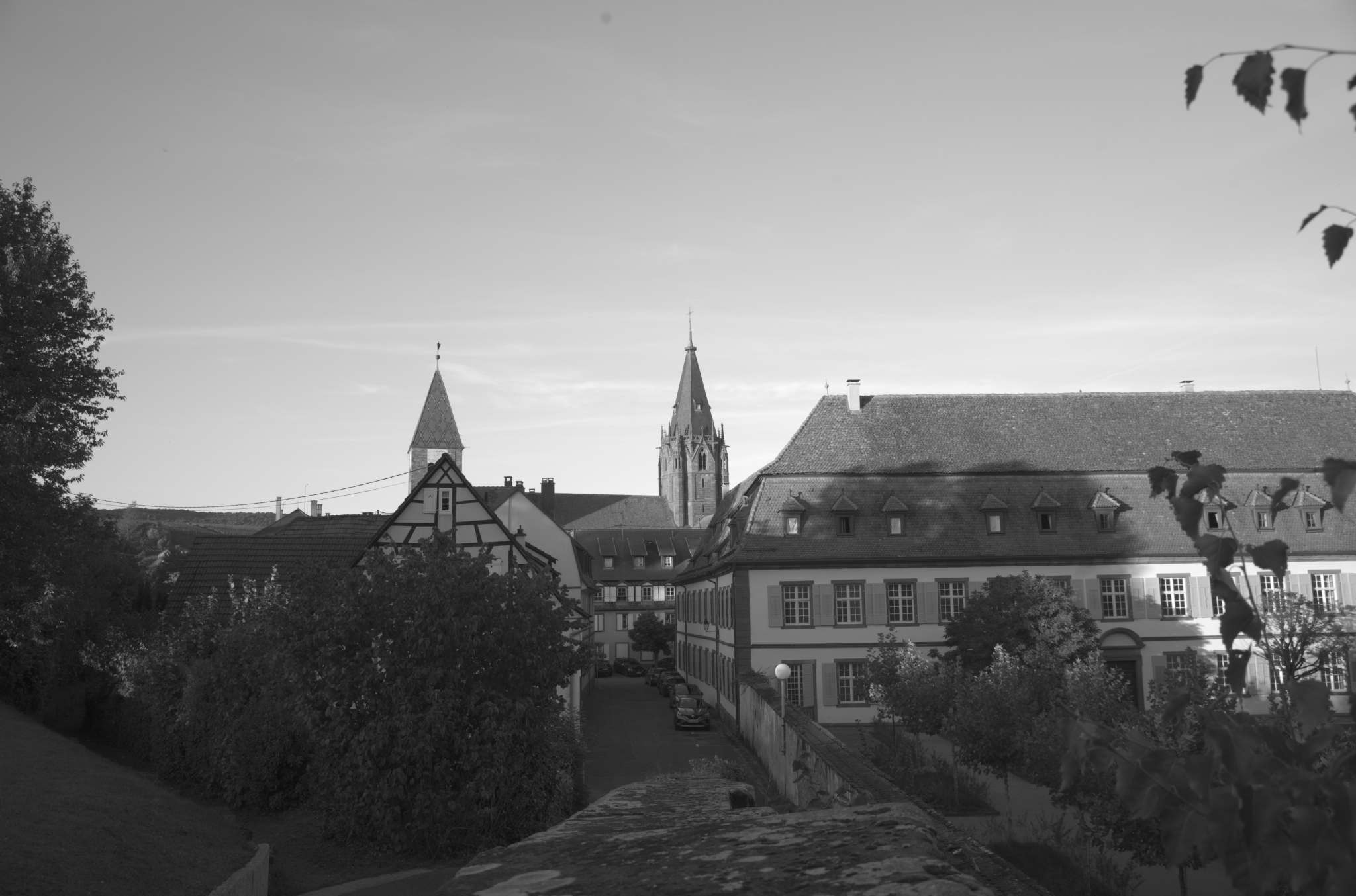 20221005 Waldgarten 47