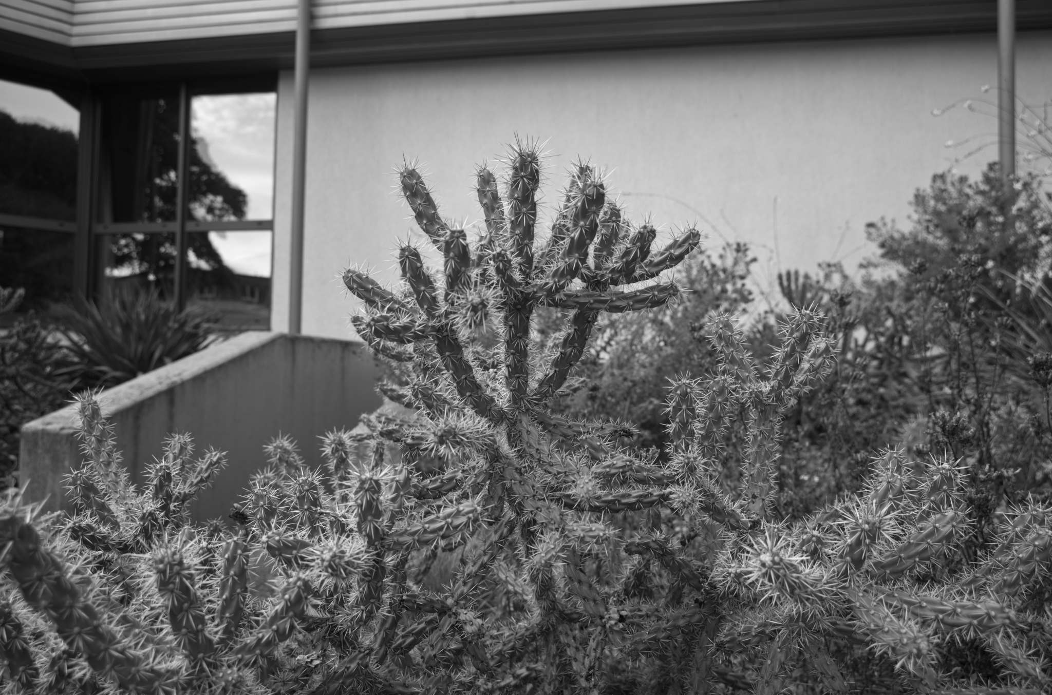 20221006 Waldgarten 10