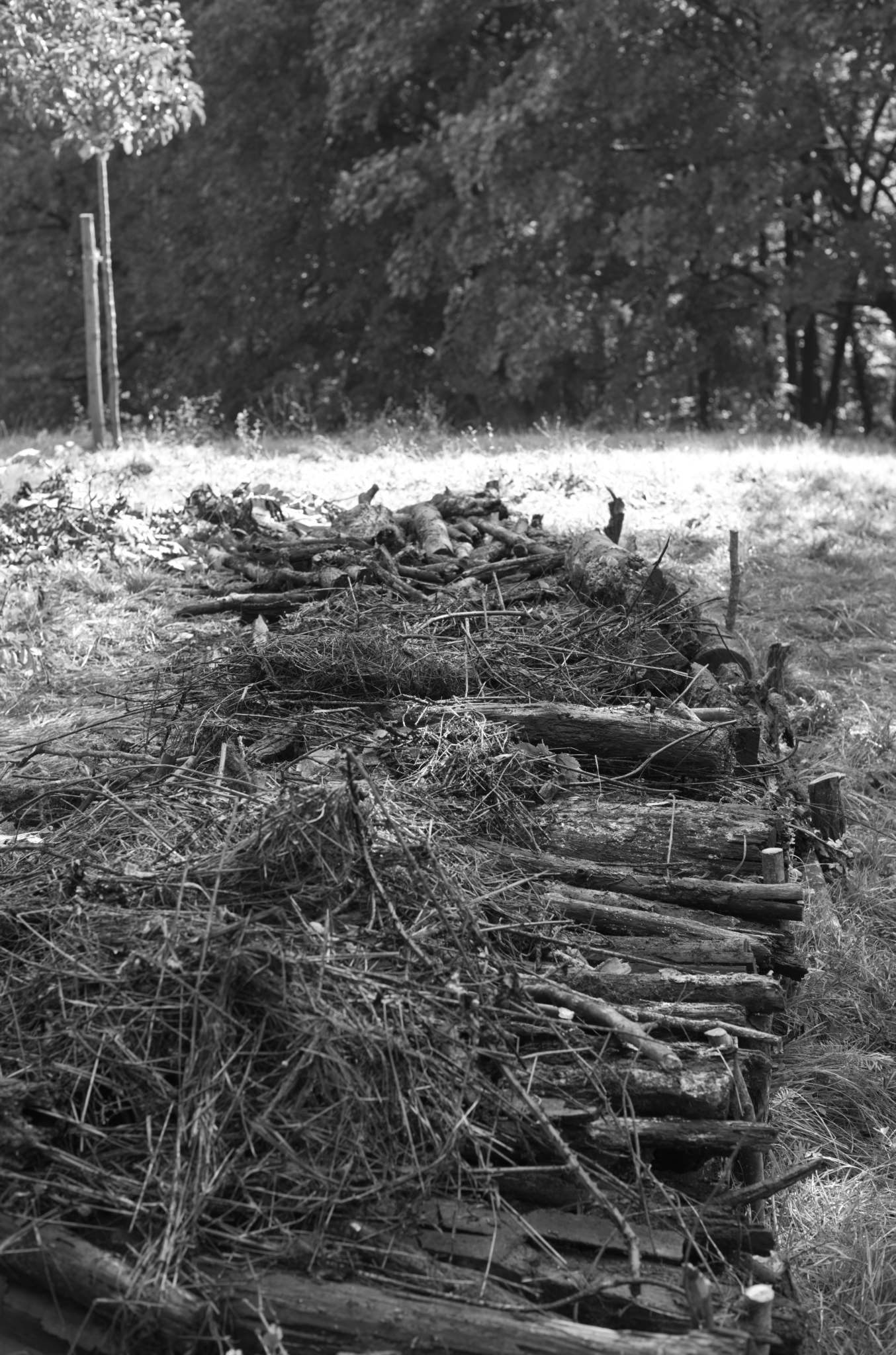 20221004 Waldgarten 18