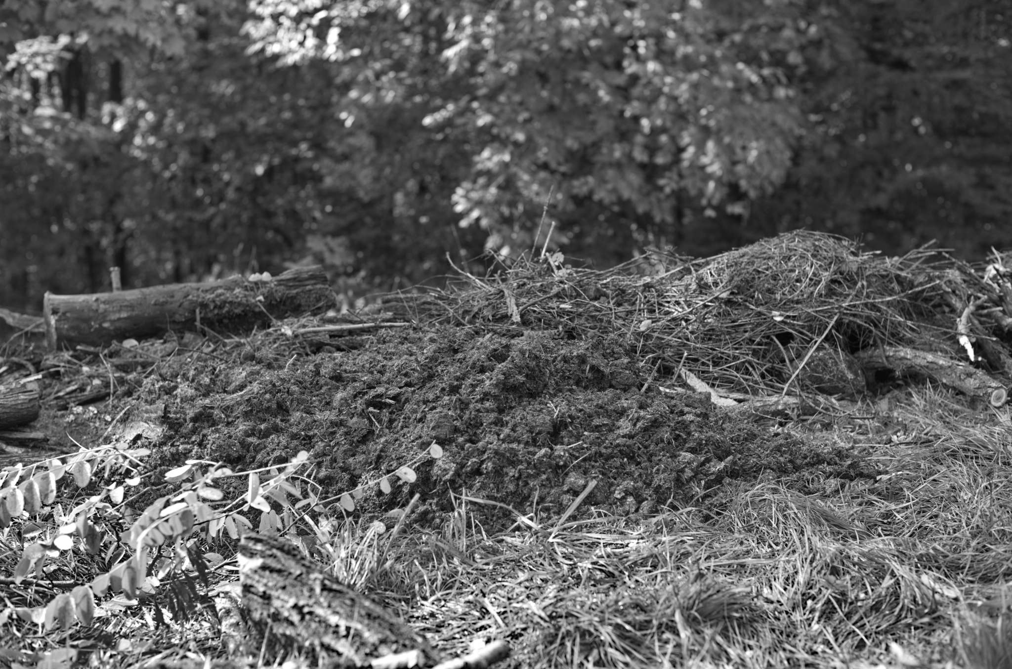 20221004 Waldgarten 19