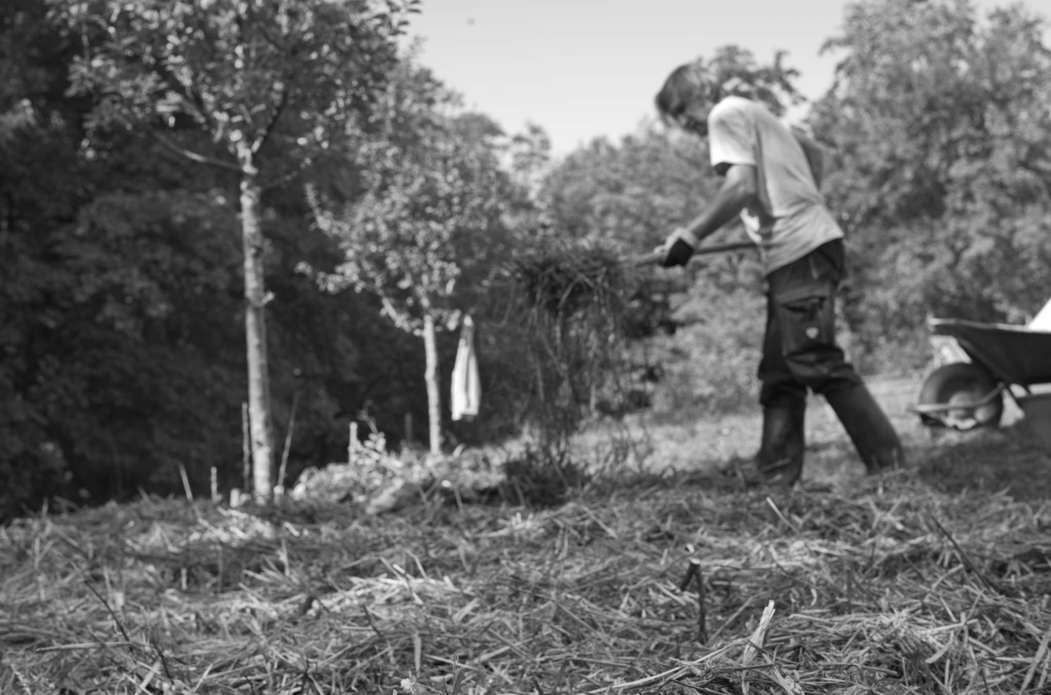 20221004 Waldgarten 23