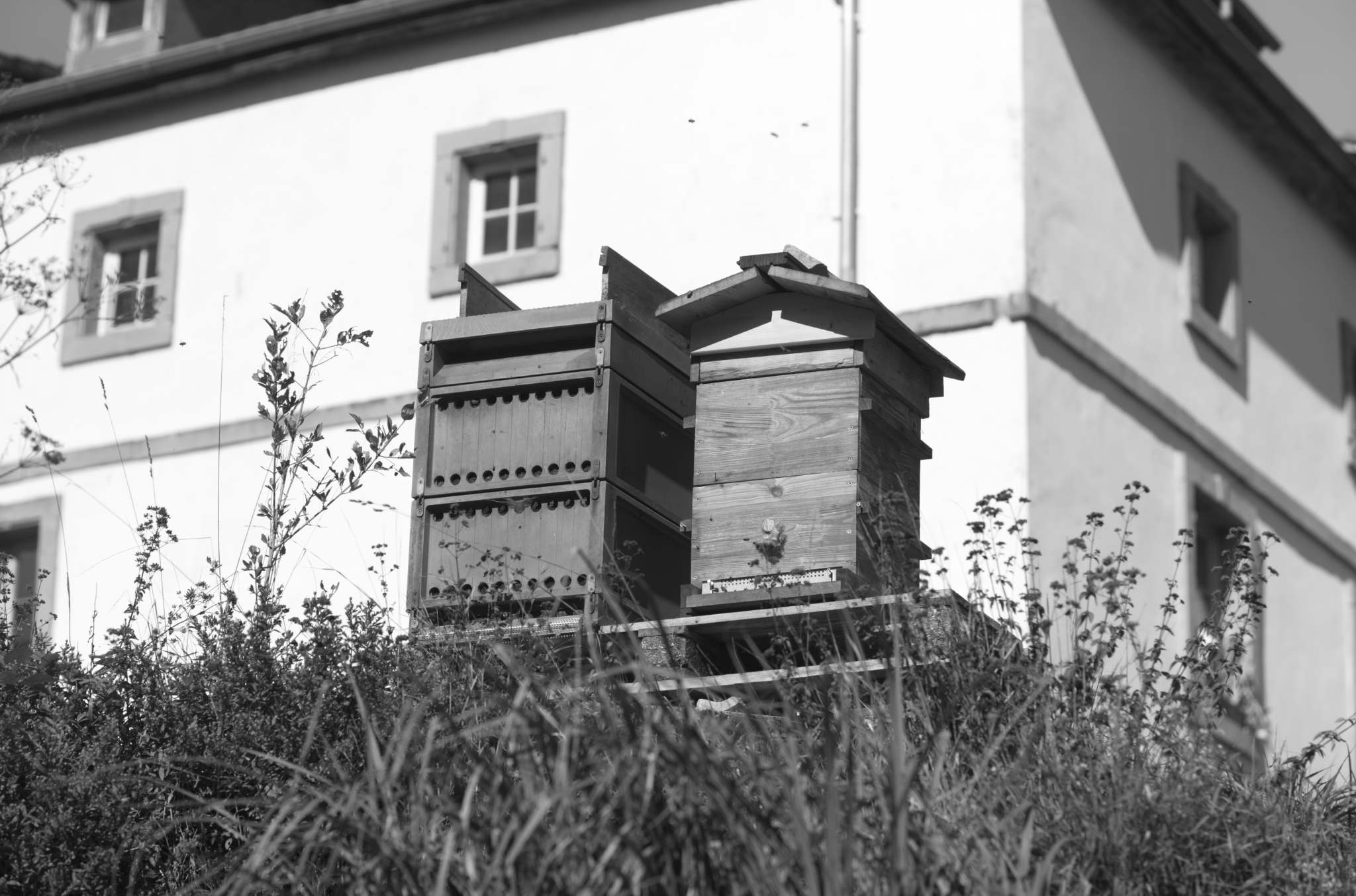 20221004 Waldgarten 35