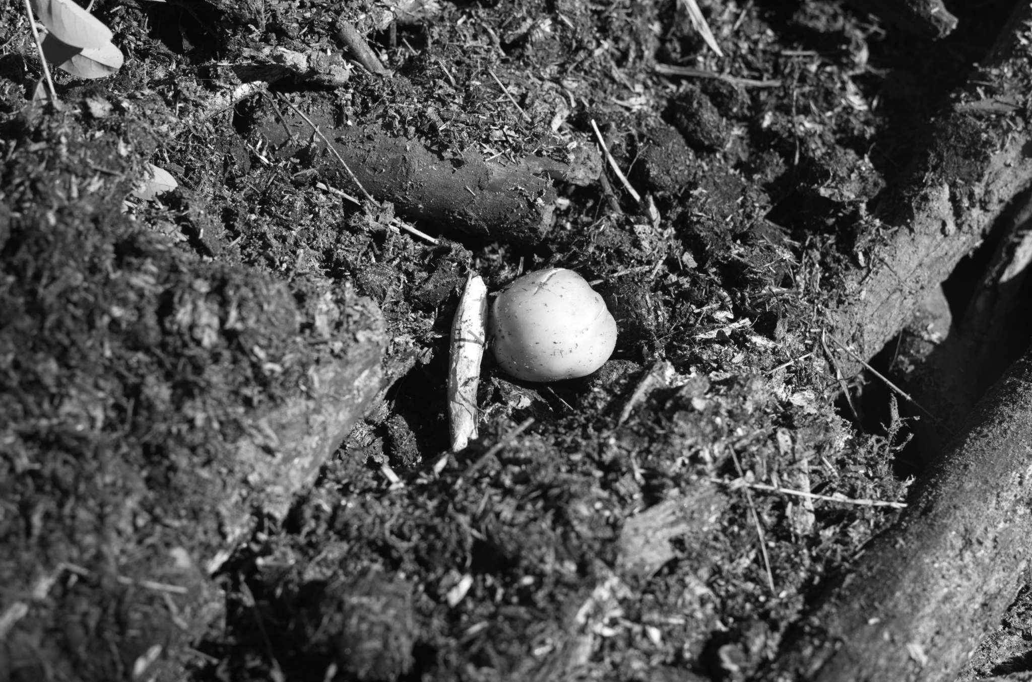 20221004 Waldgarten 43