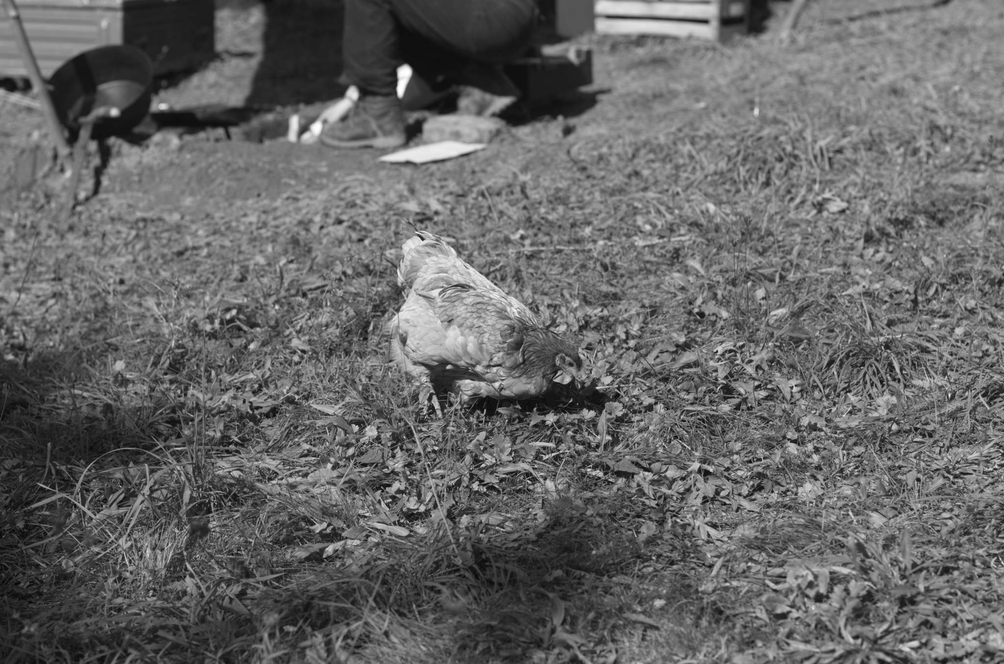 20221004 Waldgarten 50