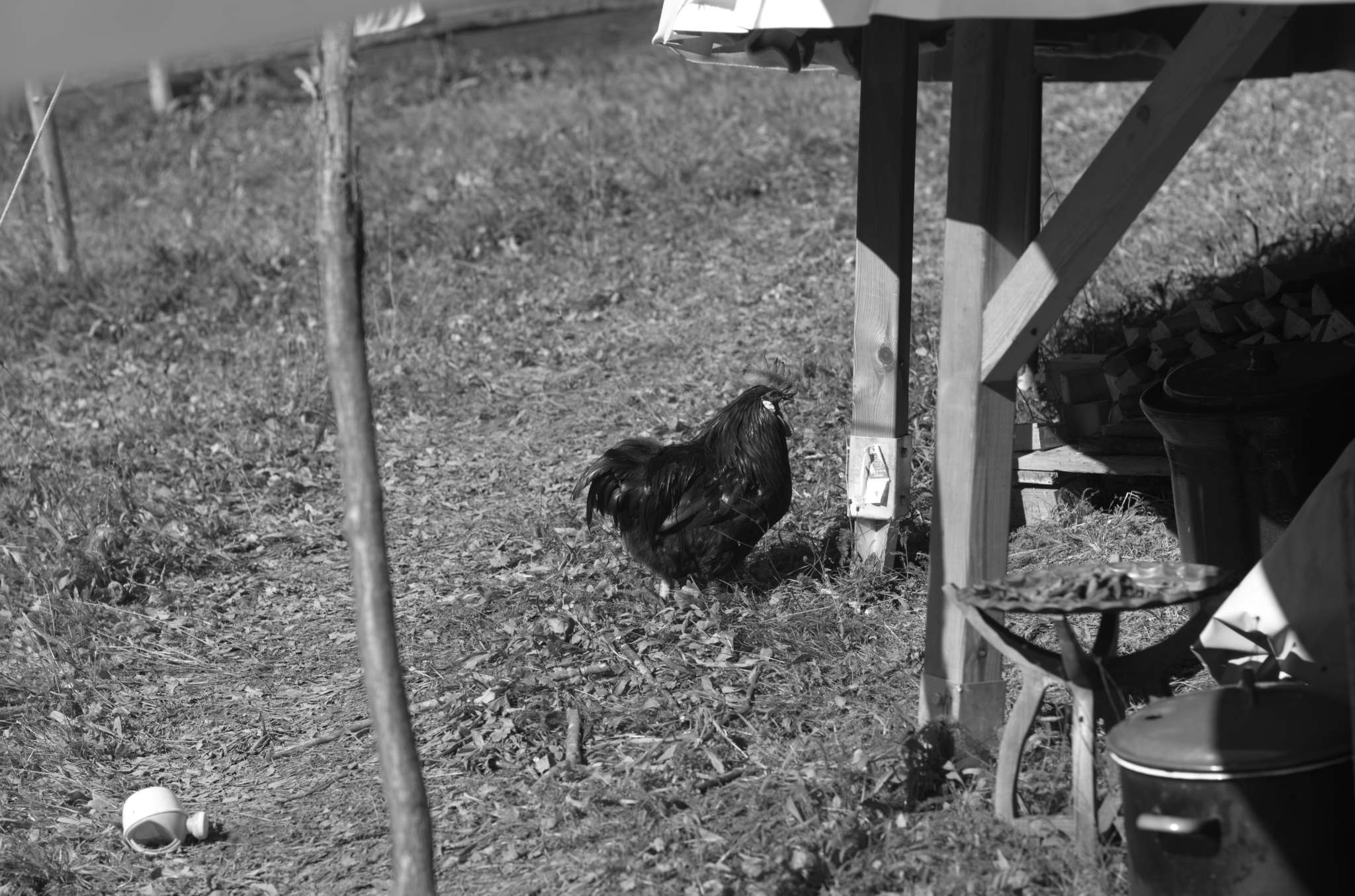 20221004 Waldgarten 53