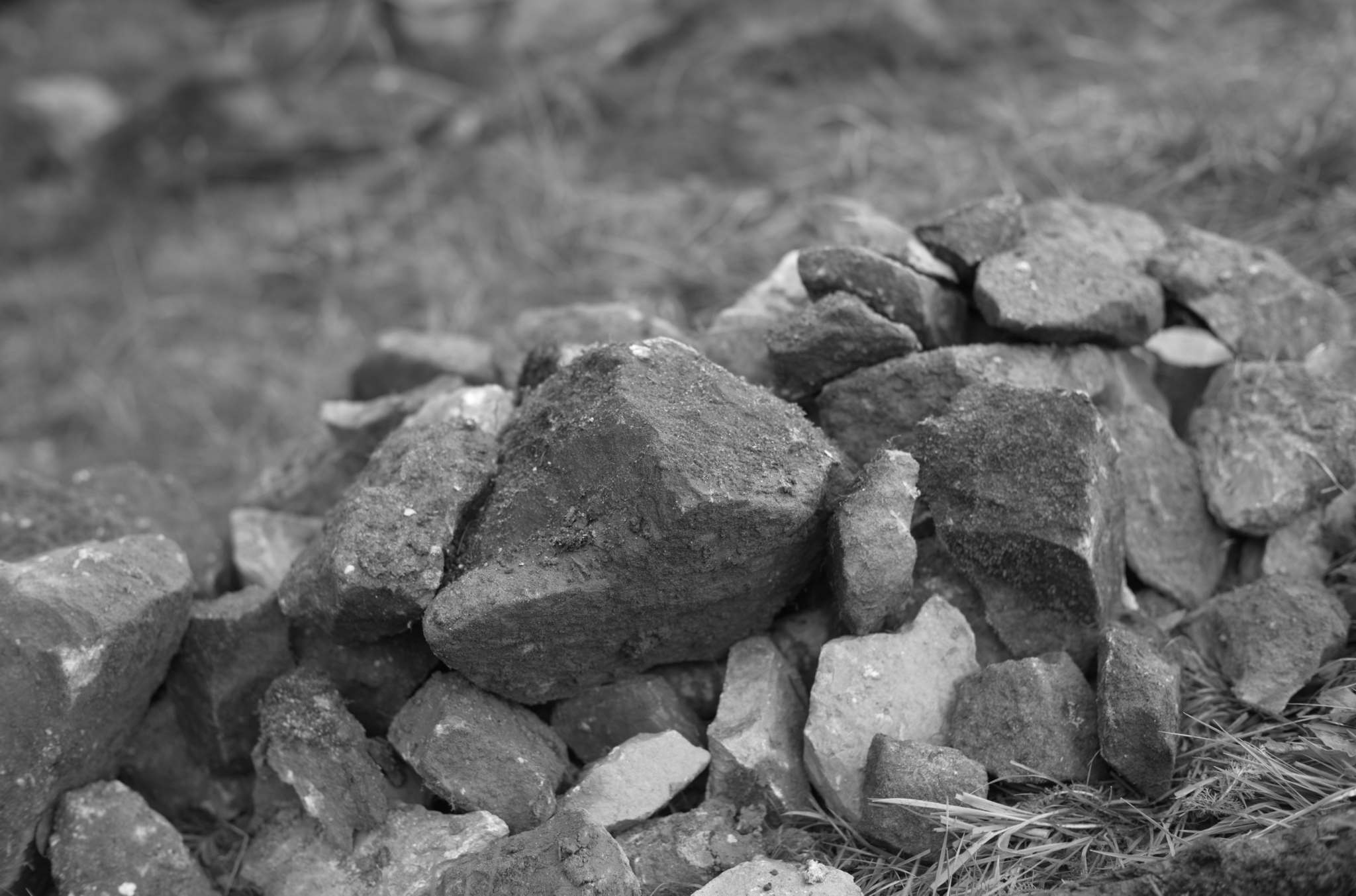 20221004 Waldgarten 68