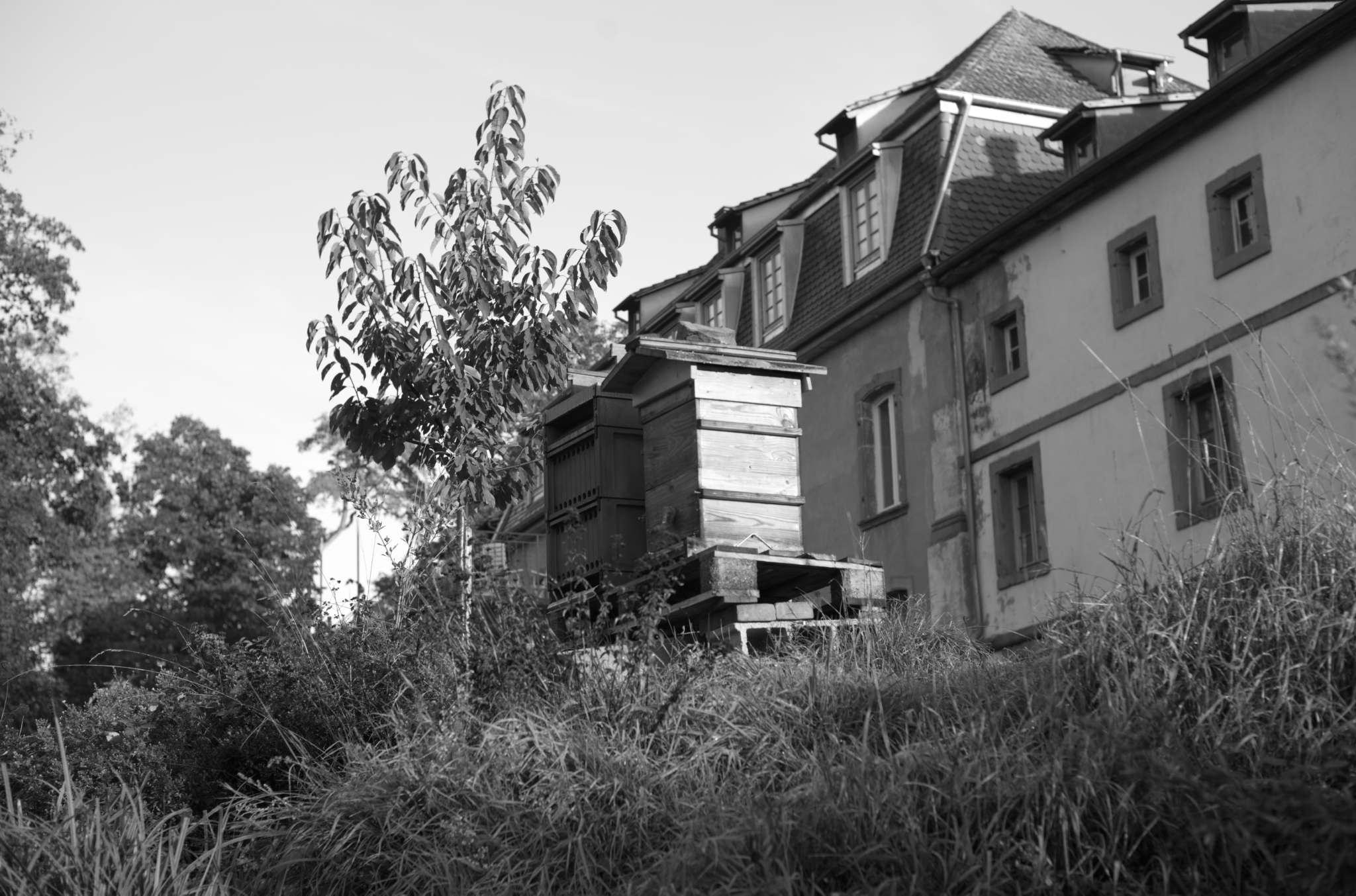 20221005 Waldgarten 01