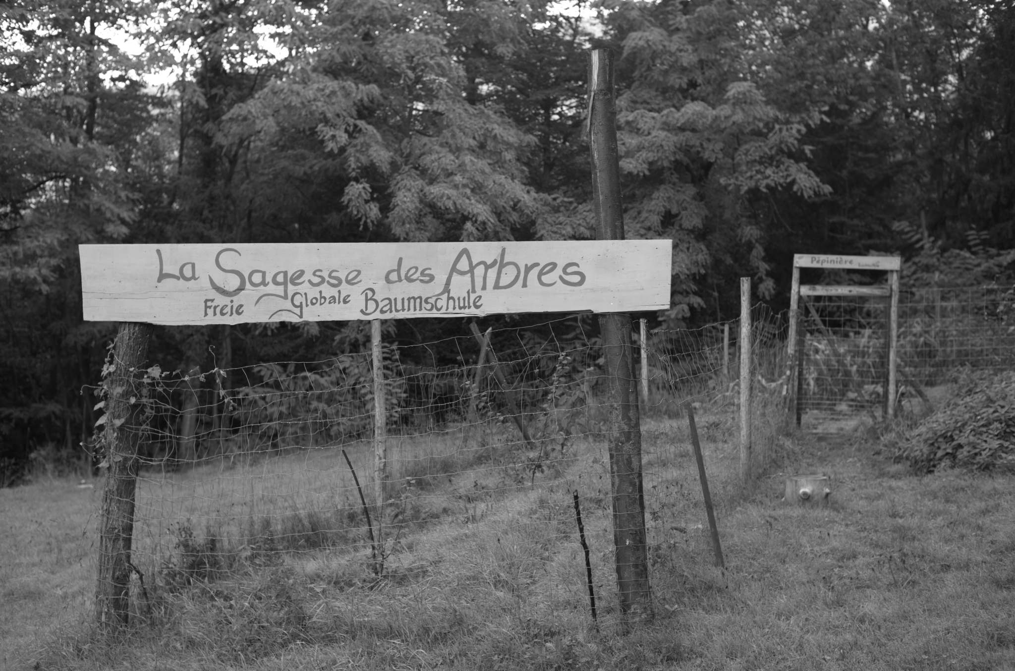 20221005 Waldgarten 05