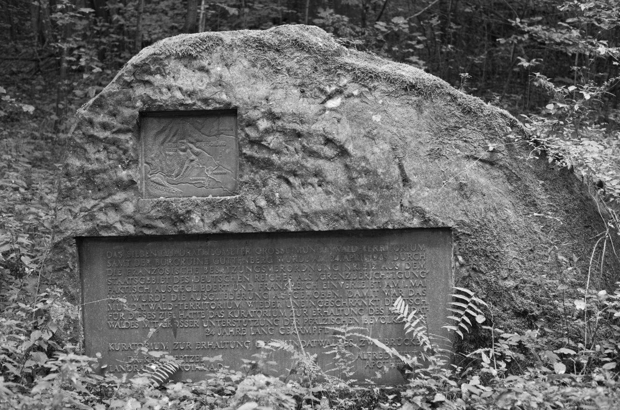 20221005 Waldgarten 10