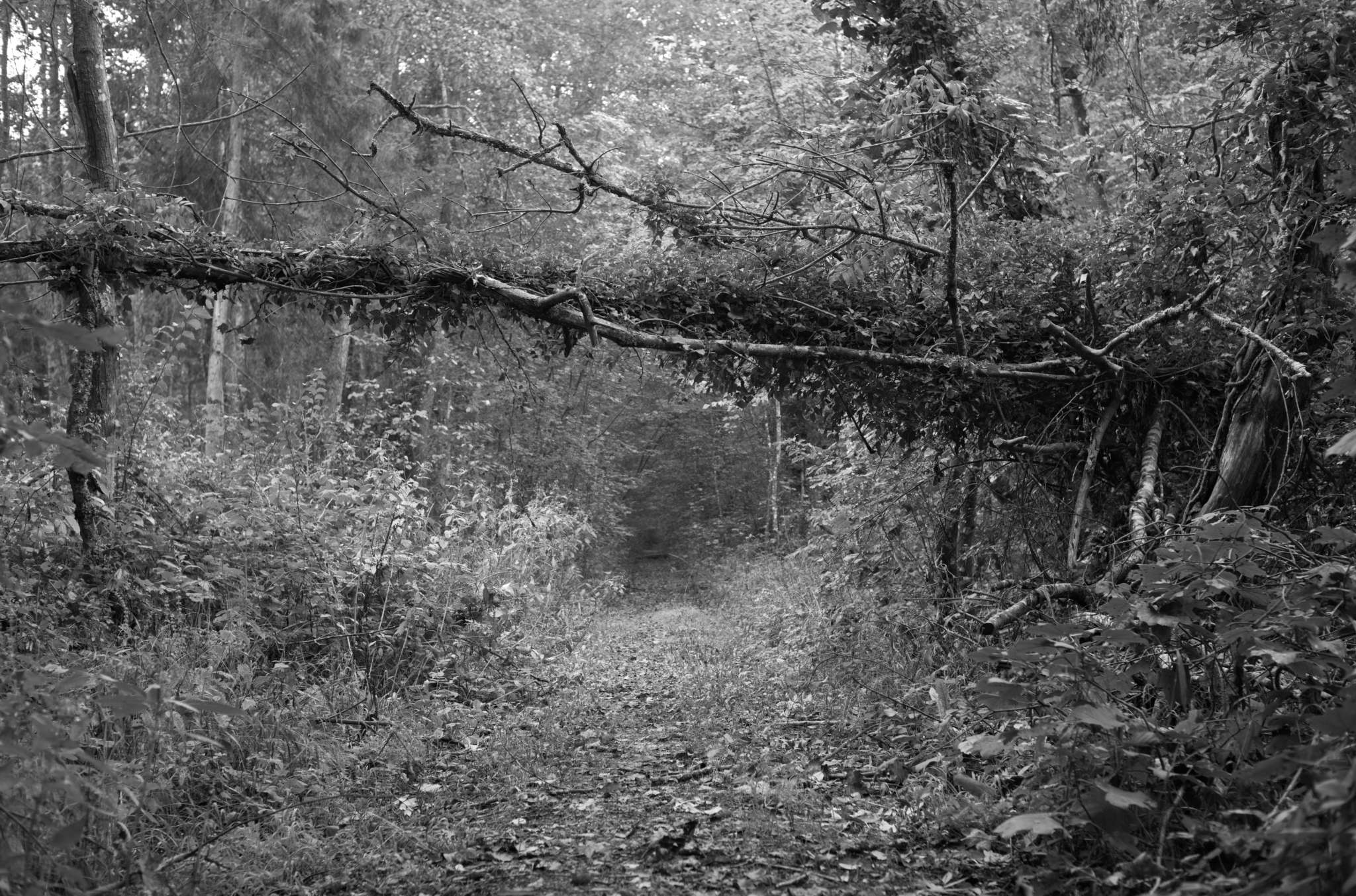 20221005 Waldgarten 12