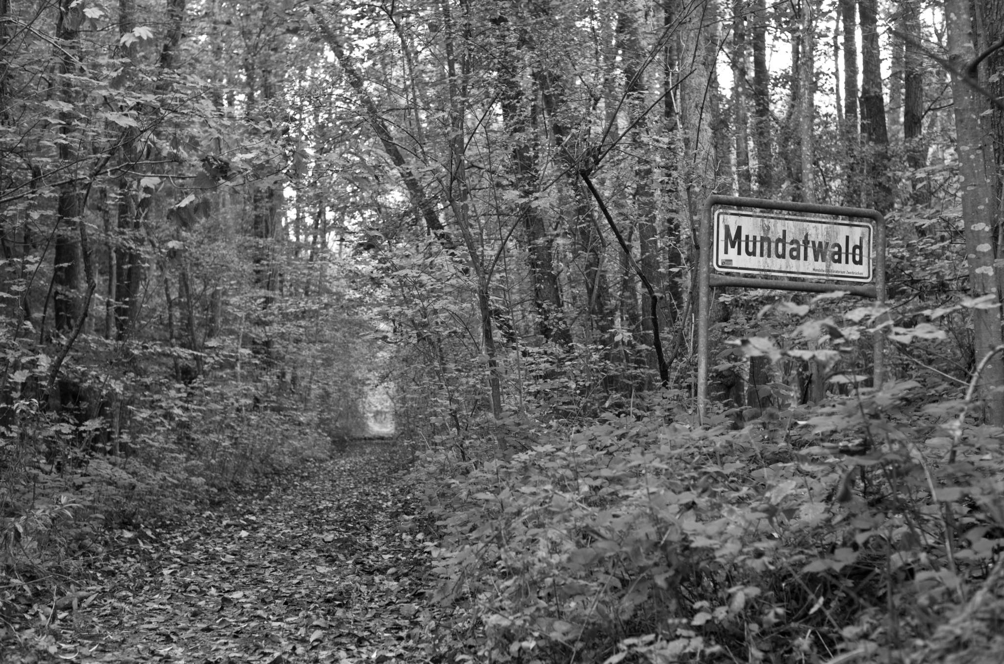 20221005 Waldgarten 16