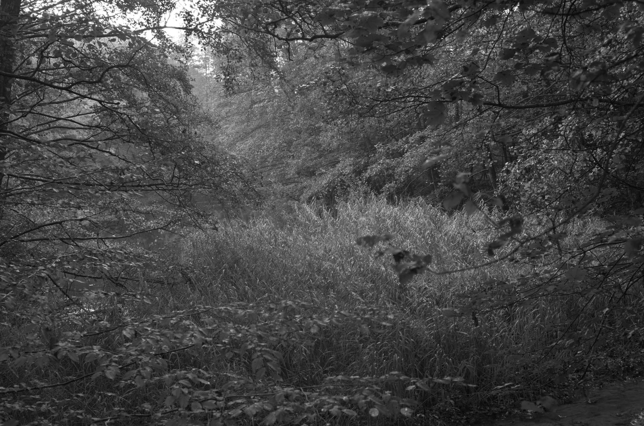 20221005 Waldgarten 17