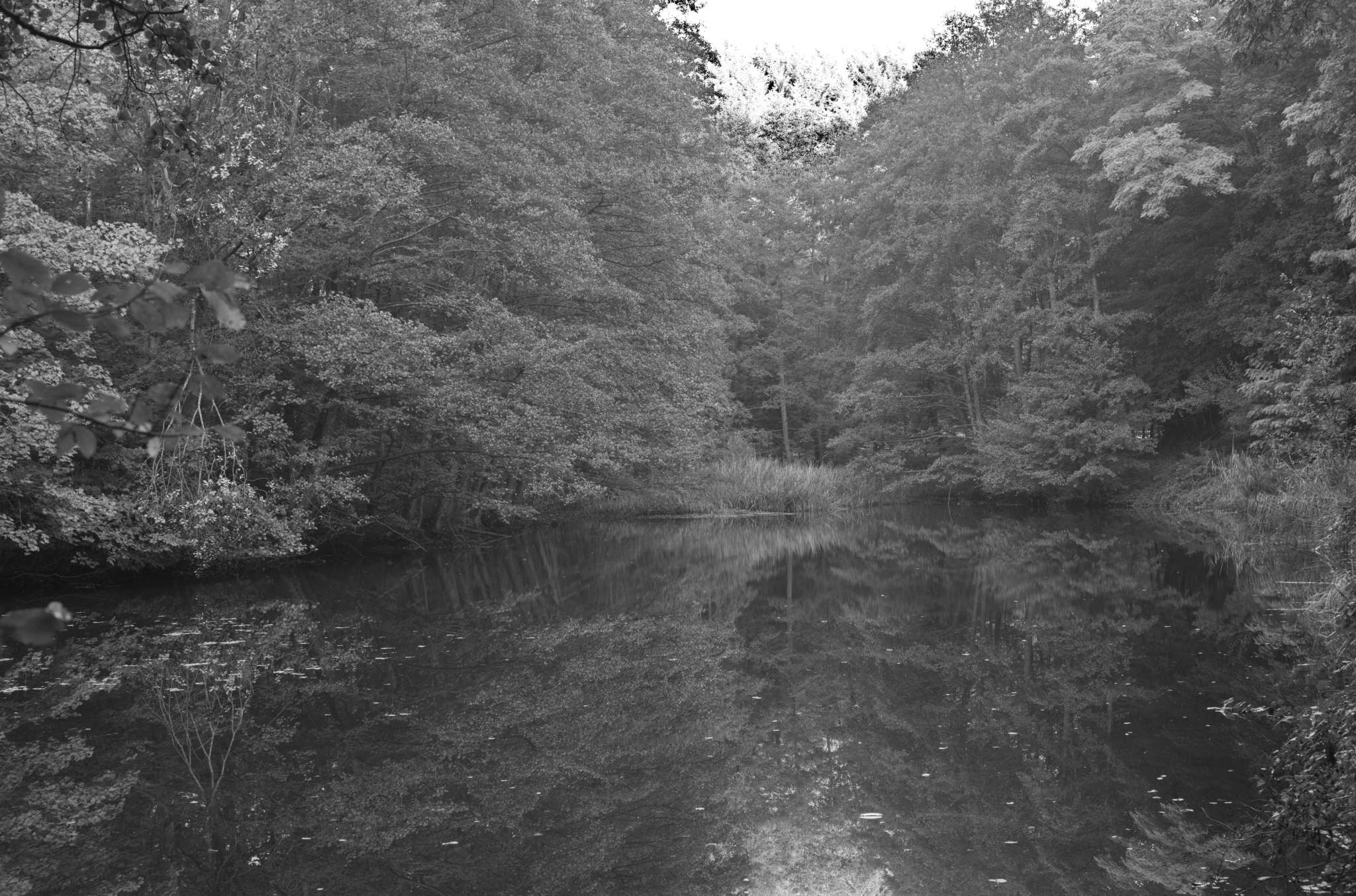 20221005 Waldgarten 21