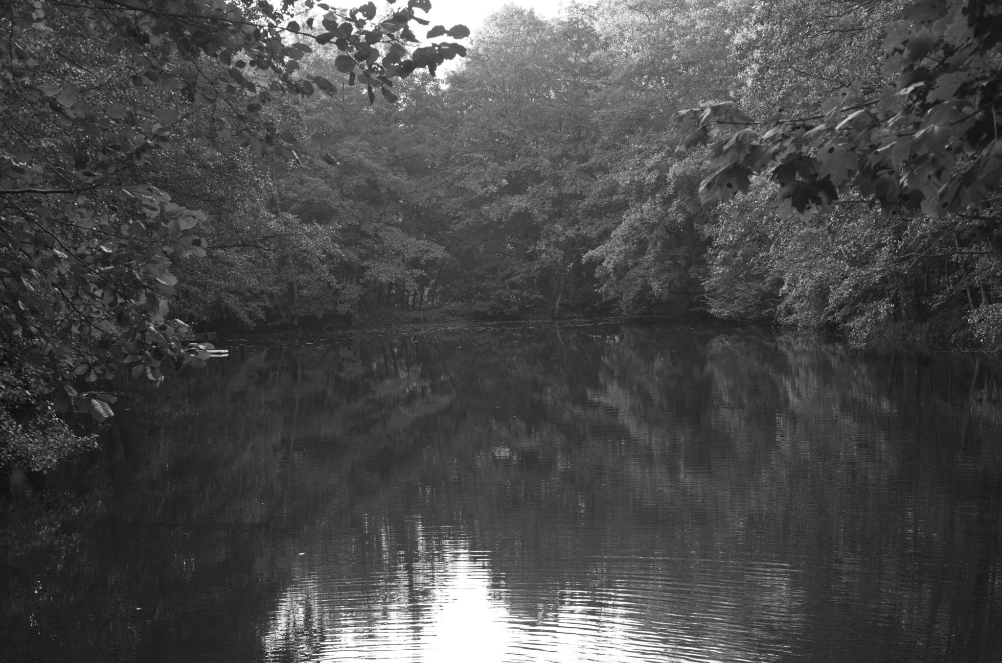 20221005 Waldgarten 22