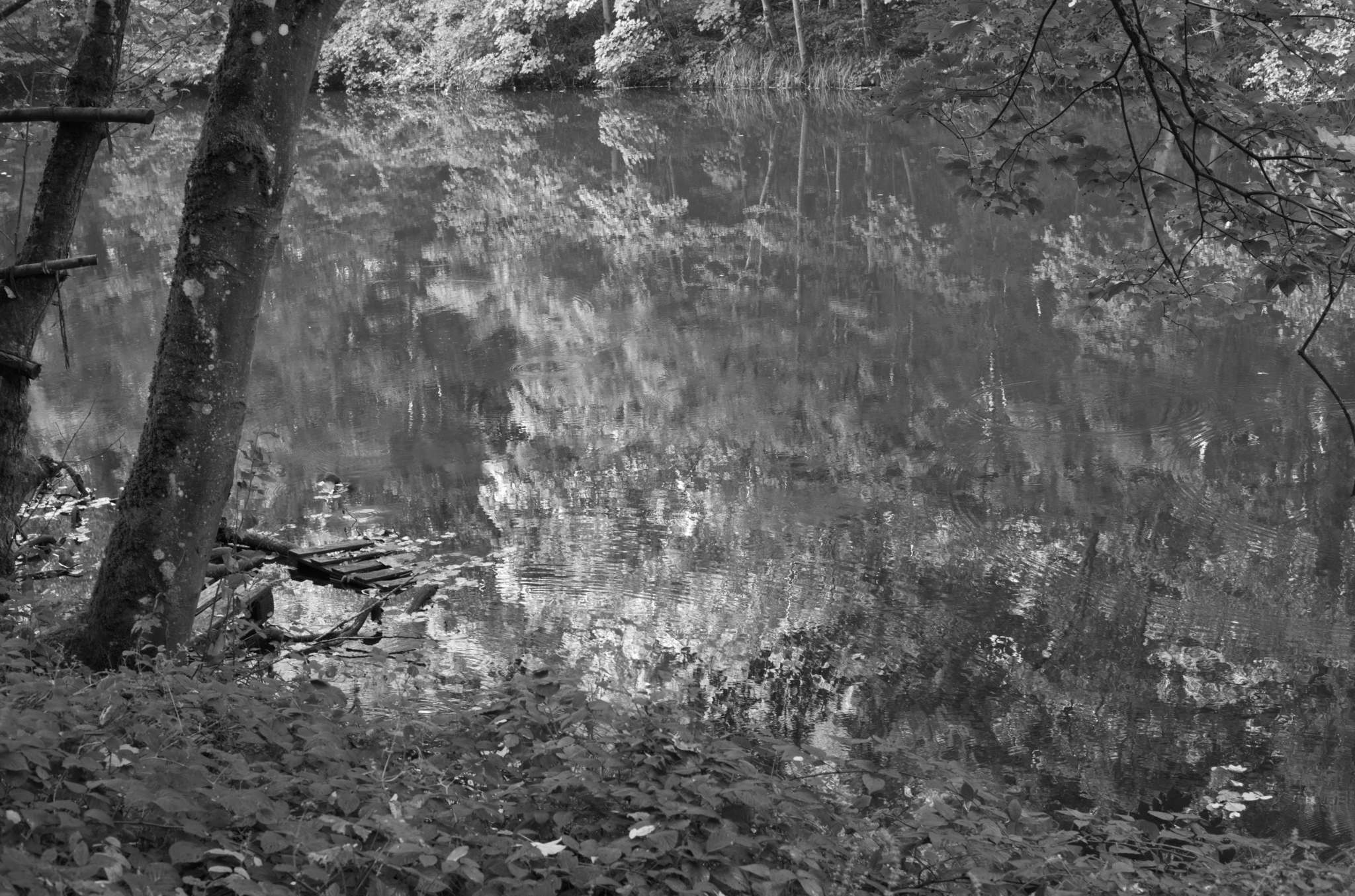 20221005 Waldgarten 24