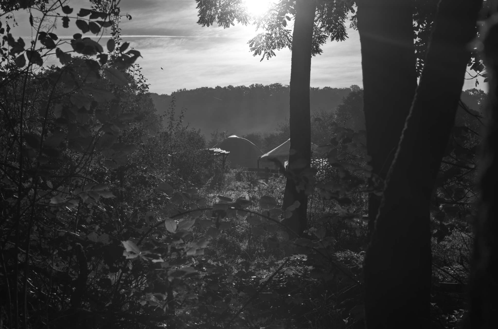 20221005 Waldgarten 28