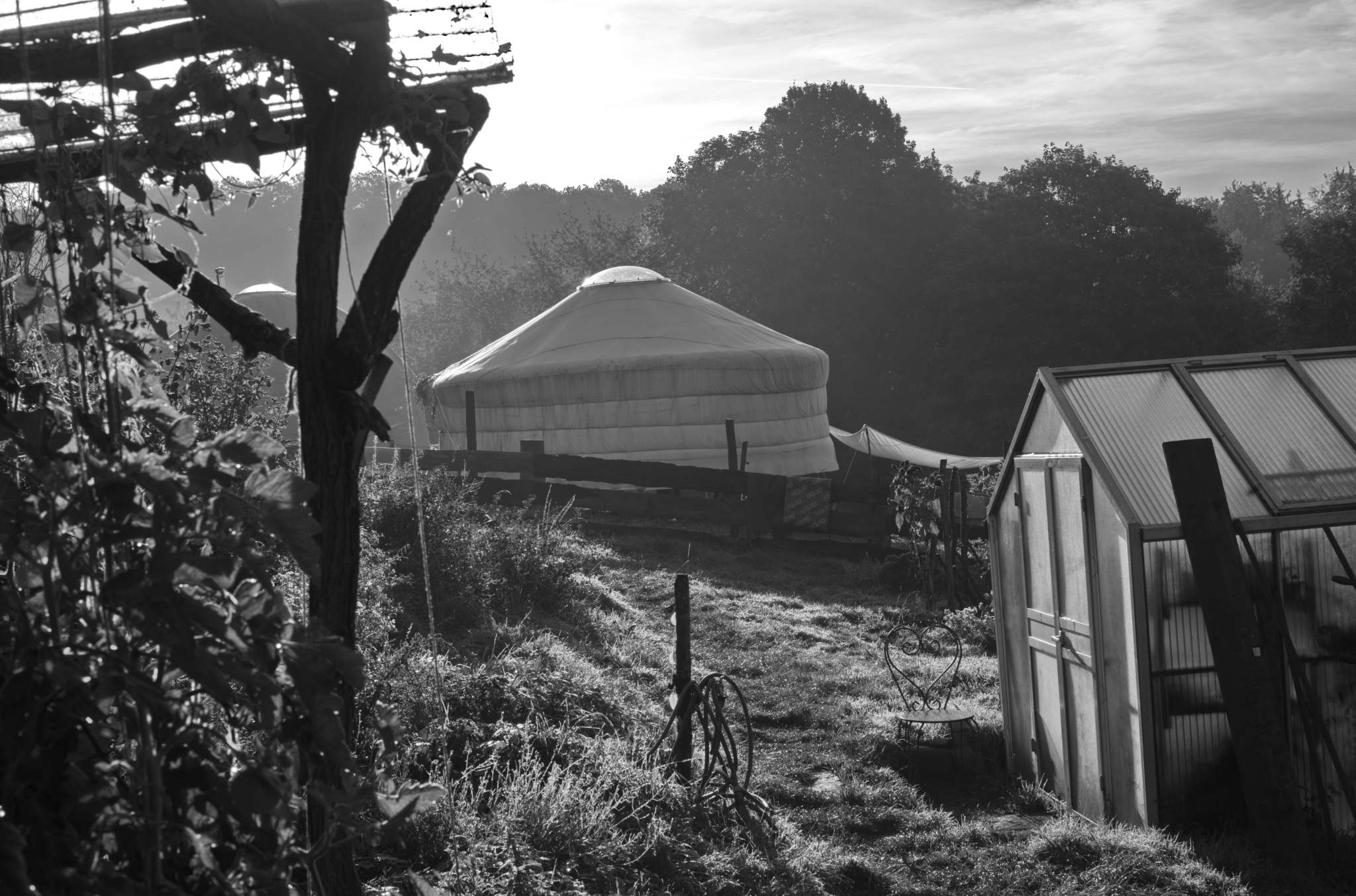 20221005 Waldgarten 31